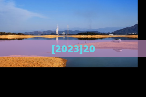 [2023]20