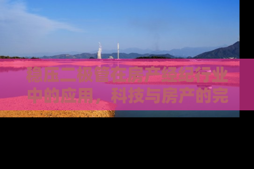 稳压二极管在房产经纪行业中的应用，科技与房产的完美融合