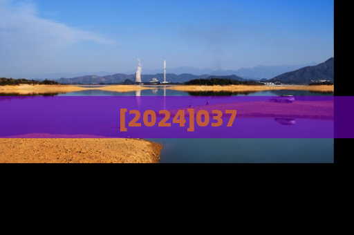 [2024]037