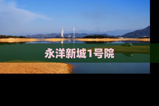 永洋新城1号院