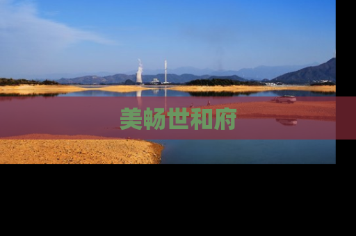 美畅世和府