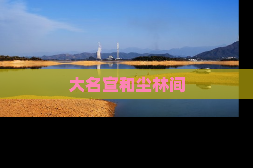 大名宣和尘林间