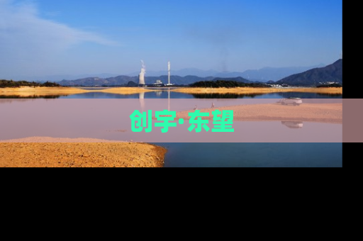 创宇·东望