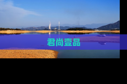 君尚壹品