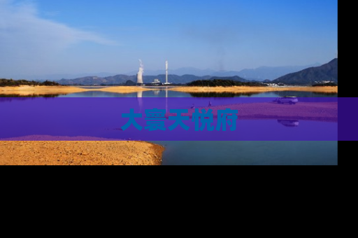 大寰天悦府