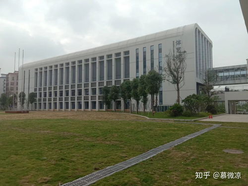 南方科技大学图书馆案例