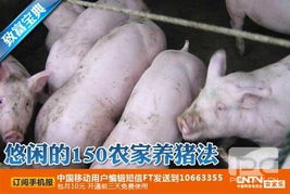 科技苑养猪视频官网