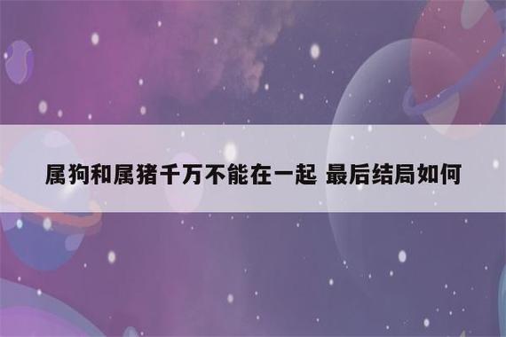 性格碰撞哪些生肖组合易因性格不合而分手？