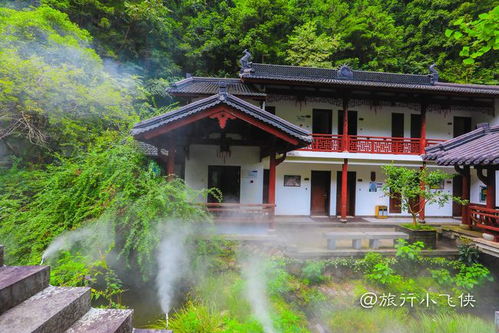 初夏邂逅桐庐大奇山绿意盎然中的心灵之旅