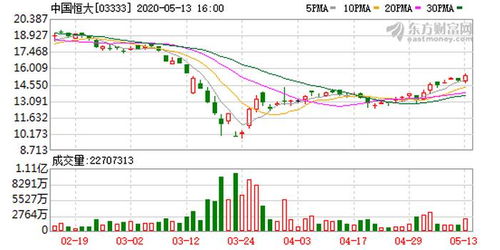 未来发展控股最新公告