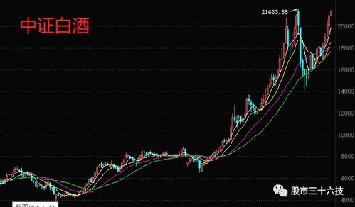 分析和建议鸿博股份一字跌停现象