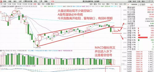 台积电上调代工价格，消费电子板块逆势走高，朝阳科技涨停